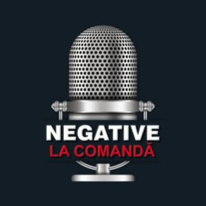 Acasa i Craciunul Sfant negativ mp3 image